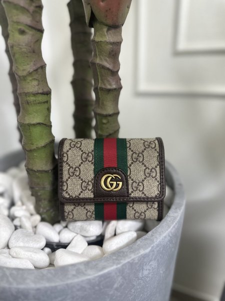 Gucci مع سحاب