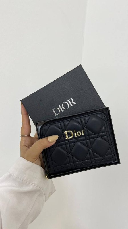 محفظه dior صغيره